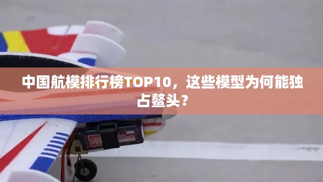中國(guó)航模排行榜TOP10，這些模型為何能獨(dú)占鰲頭？