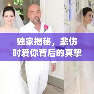 獨家揭秘，悲傷時愛你背后的真摯情感故事