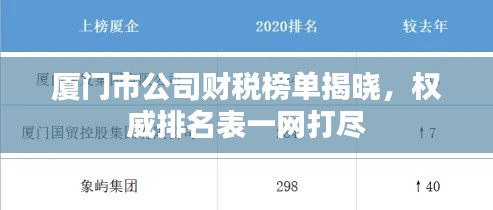 廈門(mén)市公司財(cái)稅榜單揭曉，權(quán)威排名表一網(wǎng)打盡