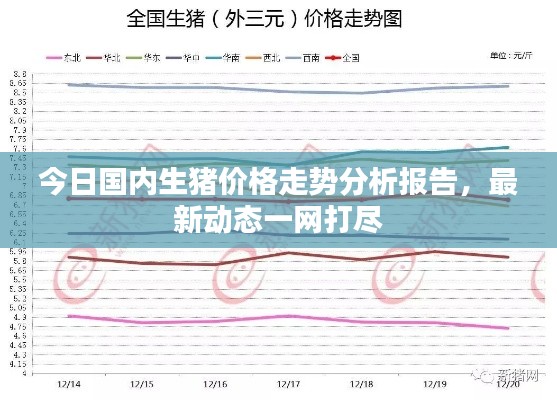 今日國內(nèi)生豬價格走勢分析報告，最新動態(tài)一網(wǎng)打盡