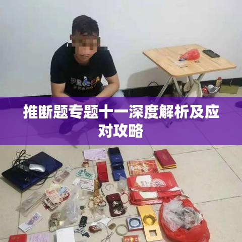 推斷題專(zhuān)題十一深度解析及應(yīng)對(duì)攻略