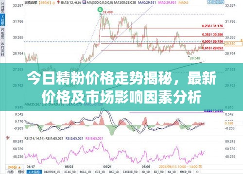 今日精粉價(jià)格走勢(shì)揭秘，最新價(jià)格及市場(chǎng)影響因素分析