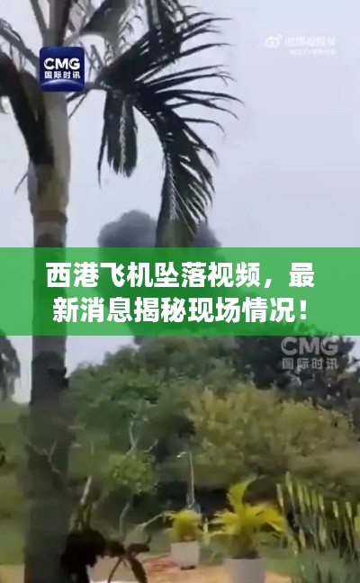 西港飛機(jī)墜落視頻，最新消息揭秘現(xiàn)場情況！