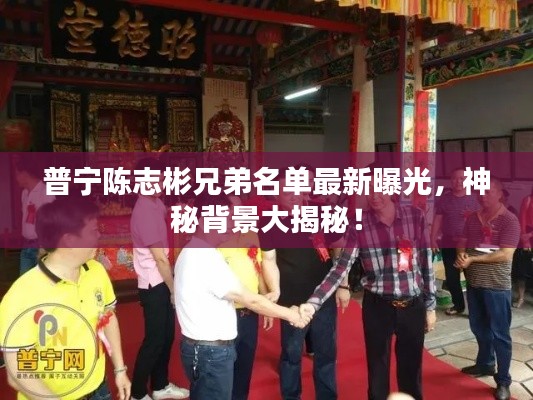 普寧陳志彬兄弟名單最新曝光，神秘背景大揭秘！