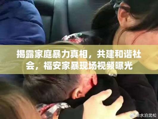 揭露家庭暴力真相，共建和諧社會(huì)，福安家暴現(xiàn)場(chǎng)視頻曝光