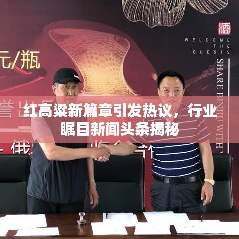 紅高粱新篇章引發(fā)熱議，行業(yè)矚目新聞頭條揭秘