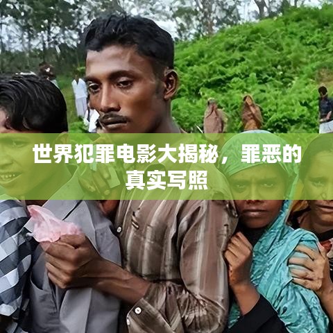 世界犯罪電影大揭秘，罪惡的真實(shí)寫照
