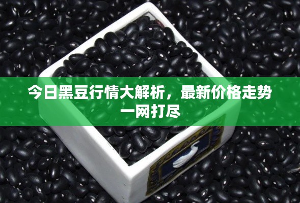 今日黑豆行情大解析，最新價(jià)格走勢一網(wǎng)打盡