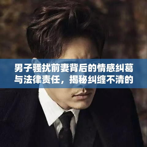 男子騷擾前妻背后的情感糾葛與法律責(zé)任，揭秘糾纏不清的法律紅線