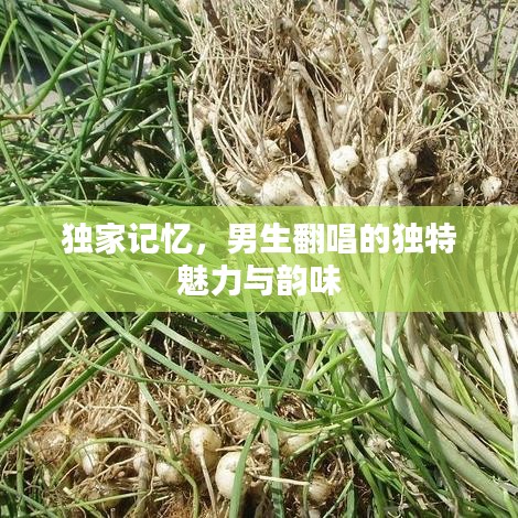 獨(dú)家記憶，男生翻唱的獨(dú)特魅力與韻味
