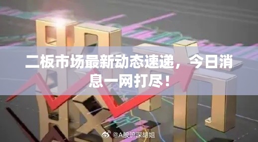 二板市場最新動(dòng)態(tài)速遞，今日消息一網(wǎng)打盡！