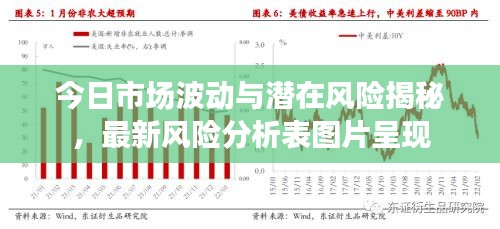 今日市場波動(dòng)與潛在風(fēng)險(xiǎn)揭秘，最新風(fēng)險(xiǎn)分析表圖片呈現(xiàn)