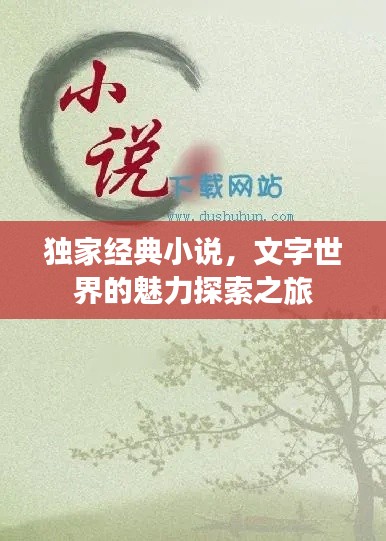 獨家經(jīng)典小說，文字世界的魅力探索之旅