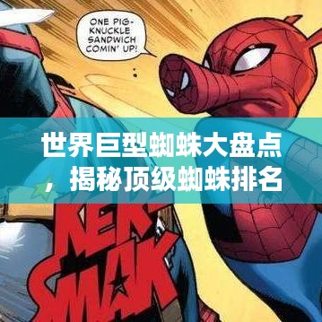 世界巨型蜘蛛大盤(pán)點(diǎn)，揭秘頂級(jí)蜘蛛排名！