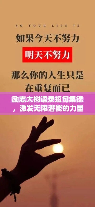 勵(lì)志大樹語錄短句集錦，激發(fā)無限潛能的力量之語