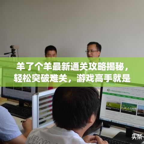 羊了個羊最新通關(guān)攻略揭秘，輕松突破難關(guān)，游戲高手就是你！