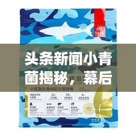頭條新聞小青菌揭秘，幕后故事與巨大影響力