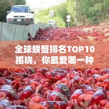 全球螃蟹排名TOP10揭曉，你最愛哪一種？