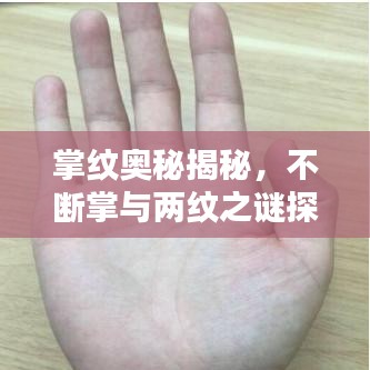 掌紋奧秘揭秘，不斷掌與兩紋之謎探秘