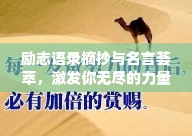 勵志語錄摘抄與名言薈萃，激發(fā)你無盡的力量源泉