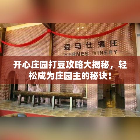 開心莊園打豆攻略大揭秘，輕松成為莊園主的秘訣！