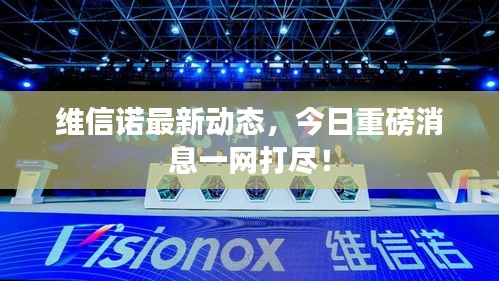 維信諾最新動態(tài)，今日重磅消息一網打盡！