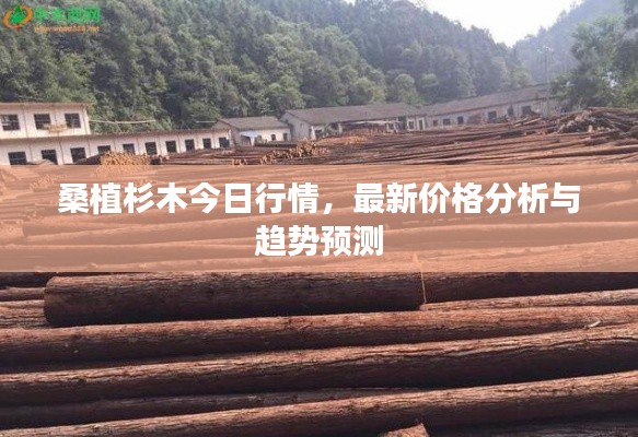桑植杉木今日行情，最新價格分析與趨勢預(yù)測