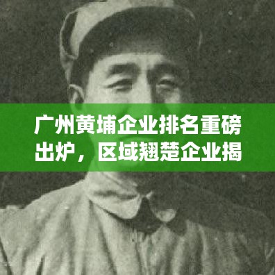 廣州黃埔企業(yè)排名重磅出爐，區(qū)域翹楚企業(yè)揭曉