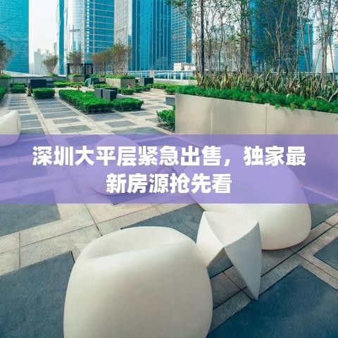 深圳大平層緊急出售，獨家最新房源搶先看