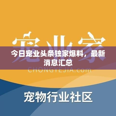 2025年2月 第4頁