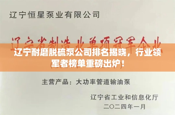 遼寧耐磨脫硫泵公司排名揭曉，行業(yè)領(lǐng)軍者榜單重磅出爐！