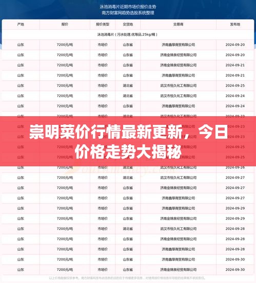 崇明菜價行情最新更新，今日價格走勢大揭秘