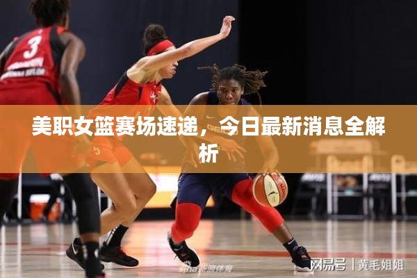 美職女籃賽場(chǎng)速遞，今日最新消息全解析