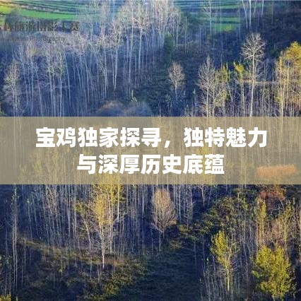 寶雞獨(dú)家探尋，獨(dú)特魅力與深厚歷史底蘊(yùn)