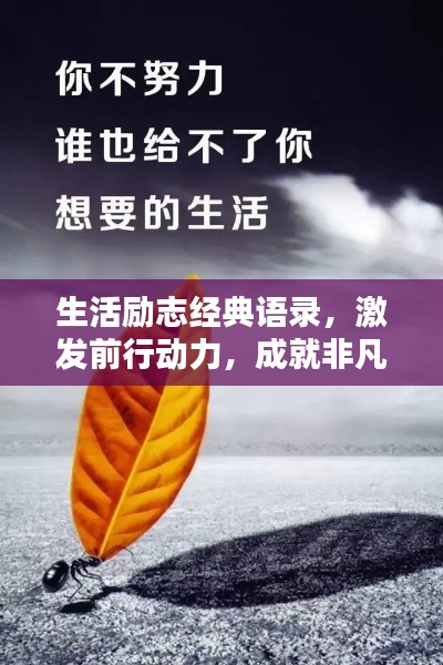 生活勵(lì)志經(jīng)典語(yǔ)錄，激發(fā)前行動(dòng)力，成就非凡人生