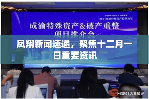 鳳翔新聞速遞，聚焦十二月一日重要資訊