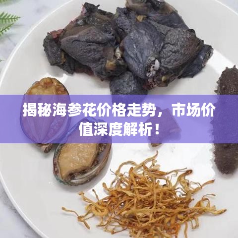 揭秘海參花價(jià)格走勢，市場價(jià)值深度解析！