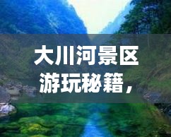 大川河景區(qū)游玩秘籍，暢游美景，盡享樂趣！