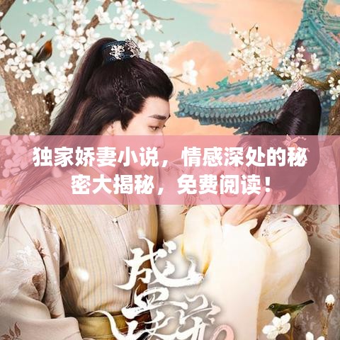 獨(dú)家嬌妻小說，情感深處的秘密大揭秘，免費(fèi)閱讀！