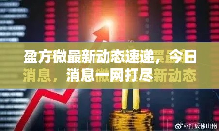 盈方微最新動態(tài)速遞，今日消息一網(wǎng)打盡