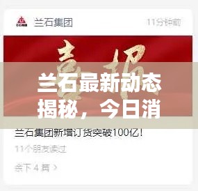 蘭石最新動態(tài)揭秘，今日消息一網(wǎng)打盡！