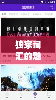 獨家詞匯的魅力，獨特、獨有與獨家特色的深度解讀與探索