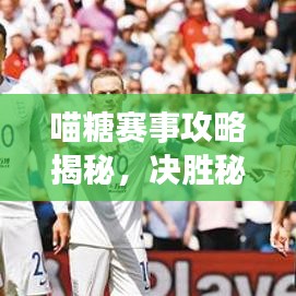 喵糖賽事攻略揭秘，決勝秘訣助你輕松奪冠！