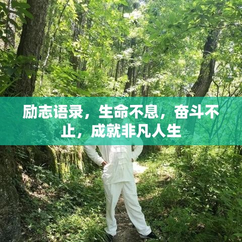 勵志語錄，生命不息，奮斗不止，成就非凡人生