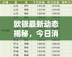 歐銀最新動態(tài)揭秘，今日消息一網(wǎng)打盡！