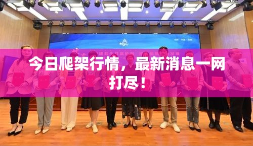 今日爬架行情，最新消息一網(wǎng)打盡！
