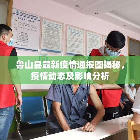 魯山縣最新疫情通報圖揭秘，疫情動態(tài)及影響分析