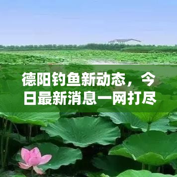 德陽釣魚新動態(tài)，今日最新消息一網打盡！