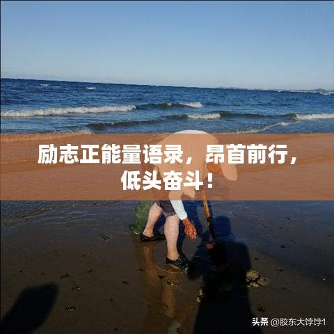 勵志正能量語錄，昂首前行，低頭奮斗！