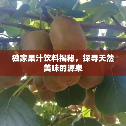 獨(dú)家果汁飲料揭秘，探尋天然美味的源泉